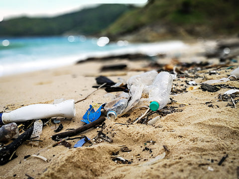 Spring Break: Plastic Pollution and Solutions