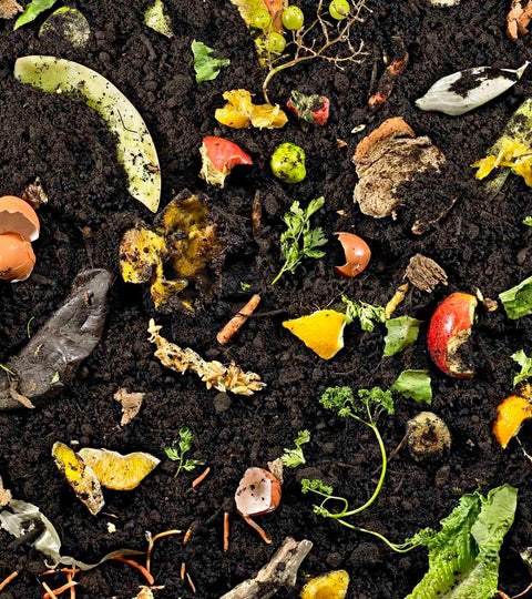 How To Compost The Right Way
